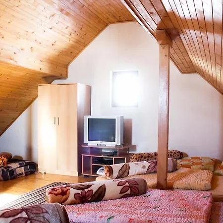 Adria クープレス